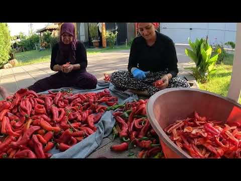 KÖY YAŞAMI ODUN ATEŞİNDE LEZZETLİ SABAH KAHVALTI HAZIRLIĞI