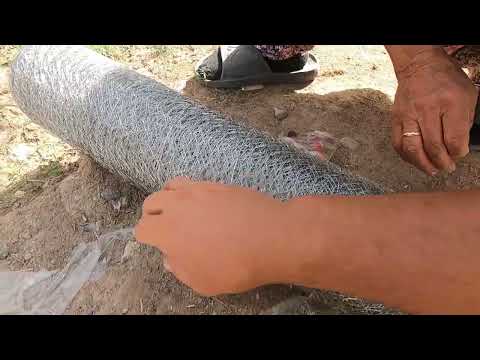 YILAN ÖNLEMİ YENİ HİNDİ YUVASI ODUN ATEŞİNDE ISPANAKLI