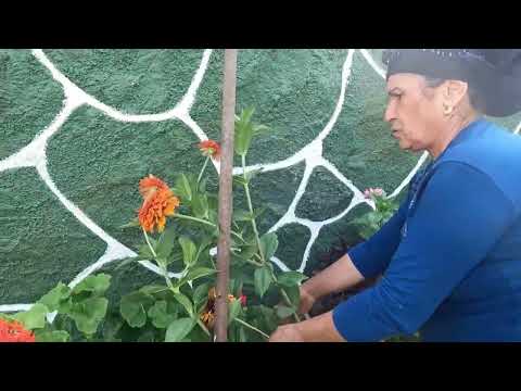 BAYILACAKSINIZ Bu GÖZLEME İle ÇORBAYI Beraber Yemediysen