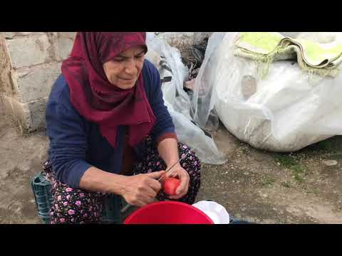 KÖY HAYATI ODUN ATEŞİ ARAP KEBABI ÖĞLEN YEMEĞİ GÜNLÜK VLOG 5