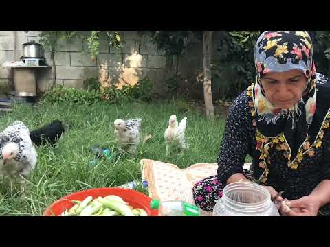 KÖY EVİMİZDE KIŞ AYI İÇİN ACUR TURŞU YAPTIK