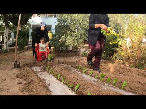 SOBALI SICAK KÖY EVİ SABAH KAHVALTISI KIŞ AYI BAHÇE EKİMİ