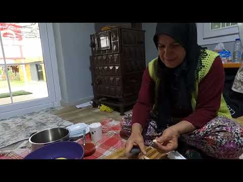 ÇEŞİT ÇEŞİT YAPTIĞIMIZ BU LEZZETE BAYILACAKSINIZ PATLICANI