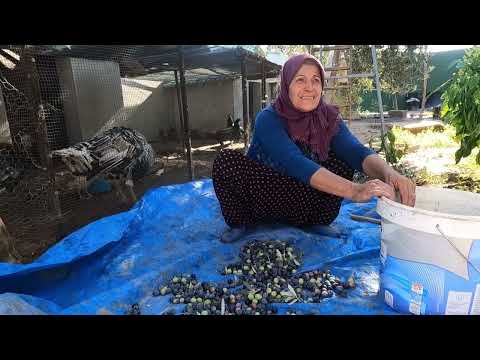 İNANILMAZ SÜPER DEĞİŞİM ANNEM KÖY EVİ BAHÇESİ YAPIMI