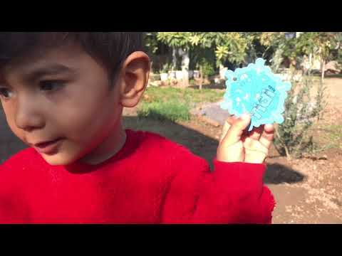 Odun ateşinde Yaprak sarması kuru patlıcan Salatalık