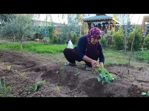 ANNEM Ve BABAM ŞOK SÜPRİZ MUTLULUK GÖZ YAŞLARI