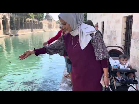 DOLU DOLU İKİ GÜN BOYUNCA ÇOK BEĞENDİĞİMİZ BALIKLI GÖL TURU
