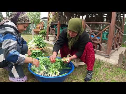 HEM ZEHİRLİ HEM ŞİFALI KÖY ÇORBASI HER YIL YAPILAN
