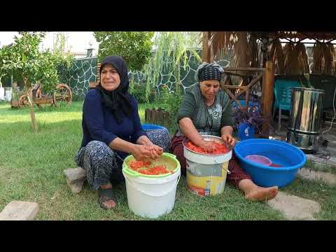 KÖY YAŞAMI ODUN ATEŞİNDE DOMATES SALÇA YAPIMI GÜZEL KÖY