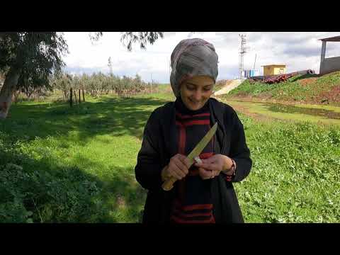 ISIRGAN OTU İLE GÖZLEME TARİFİ EL AÇMASI ISIRGAN OTU BÖREK