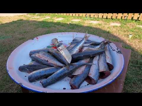 Köyde Odun Sobası Yemeği LEZZETLİ TOPRAK KÖY YEMEĞİ