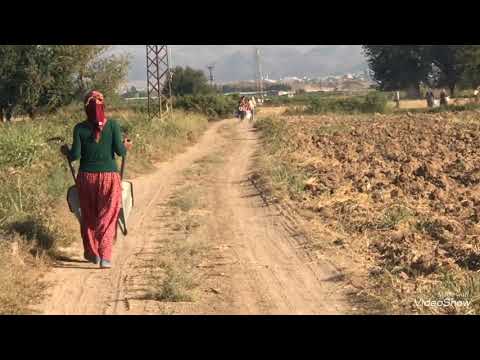 Kısa bir köy hayatı köy hayatı mühteşem