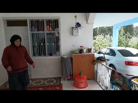 İNANILMAZ LEZZETLİ BAKLAVA BÖREĞİ PRATİK SABAH KAHVALTISI