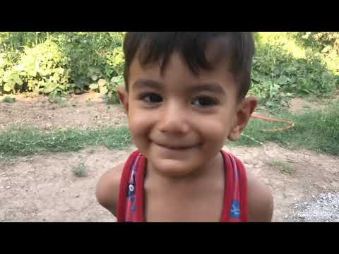 Bahçemizdeki yemek lik löbye ve zeytinleri topladık günlük