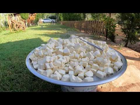 KÖY YAŞAMI ODUN ATEŞİNDE LEZZETLİ SABAH KAHVALTISI GÜZEL