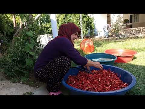 NEFİS YEMEKLER İÇİN YILIN EN LEZZETLİ BİBER TARİFİ KÖY EVİ