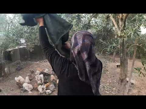 ANNEME MUTLU HABER GELDİ HAYALİ GERÇEK OLUYOR TEYZEM İLE