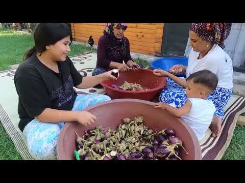 1 YIL BOYUNCA LEZZETLİ YEMEKLER İÇİN KURUTULMUŞ PATLICAN