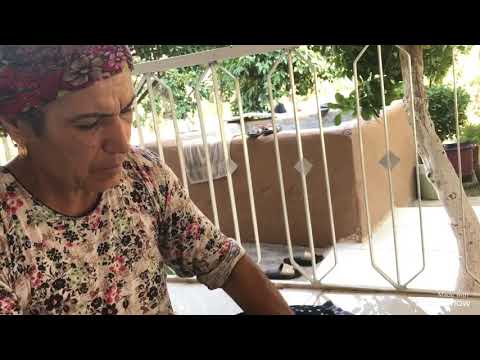 Akşam yemeği günlük vlog
