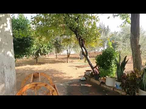 Yeni Bebeğimiz İçin SOBAMIZI KURDUK Kış Ayı En Güzel Akşam