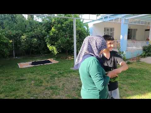 ANNEM KÖY EVİ 1 YIL SONRA İNANILMAZ LEZZET KUZU ETİ LAHANA