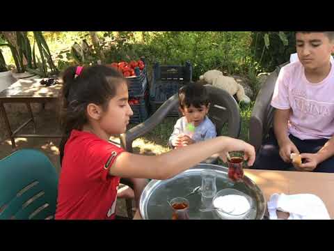 Köy hayatı güzel bir sabah kahvaltı günlük vlog