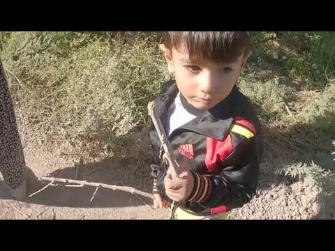 LEZZET DOLU NAR HASADI YEMEK Köy Hayatı Tarladan Oragnik