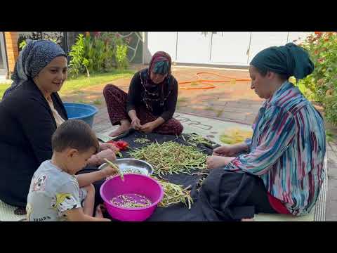 Geleneksel Köy Hayatı Yaşamı Köyde Kış Hazırlığı HD Flim 4K