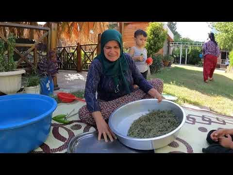 KÖY HAYATI LEZZETLİ YEMEKLER İÇİN KIŞLIK YAPIMI GÜZEL KÖY