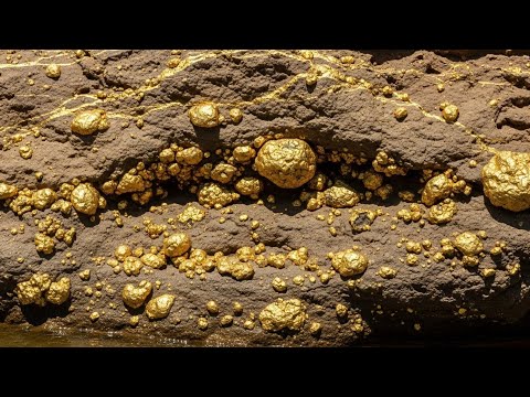 Creek Prospecting Session Brings Incredible Finds