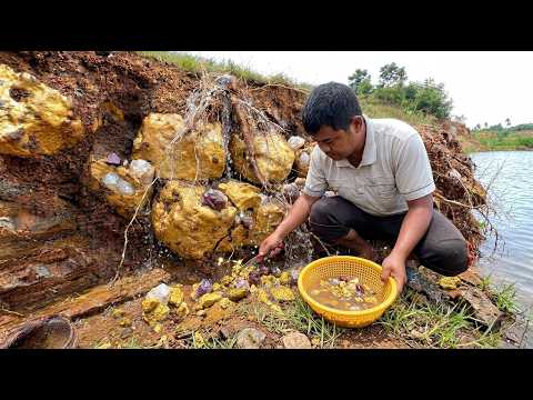 amazing A man digging the gold nuggets under Stone at