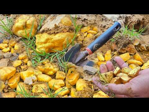 Biggest Gold Nuggets I ve Ever Pulled Out