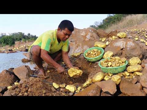 Epic gold mining digging the gold nuggets under stone of