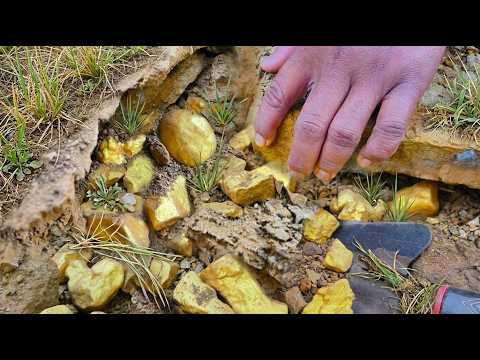 Wow amazing Hunting for Gold in the Wild Big Nuggets