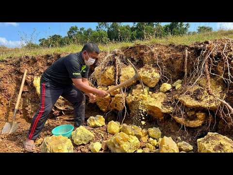 Wow finding gold nuggets under stone at mountain
