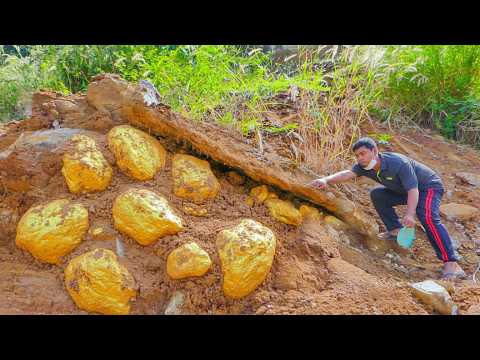 Uncovering GIANT Gold Nuggets From the Soil