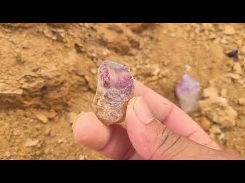 wow Amazing Searching for Gold in Muddy Water Results