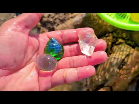Oh Big One Digging gold and gemstones