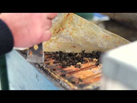 Winter Village Life The Best Way to Cook Perfect BBQ Meat