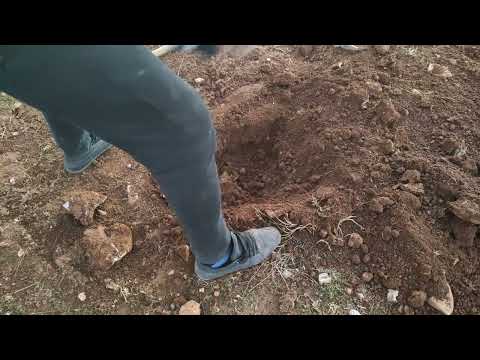 Finding the lost treasure using a metal detector