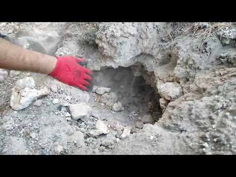 The Hidden Treasure Revealed Ancient Artifacts Found
