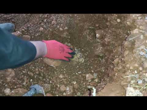 Unbelievable Ancient Treasure Discovery Finding a Hidden