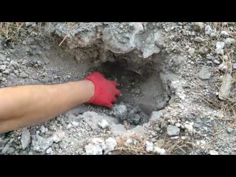 Found a Hidden Treasure Chest Underground