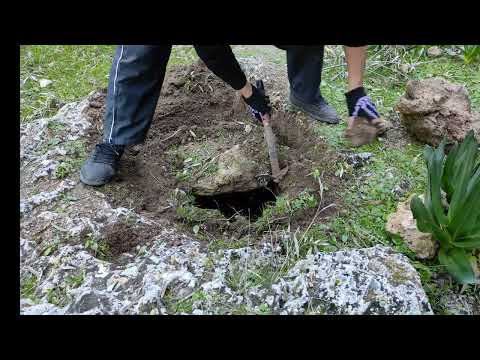 Finding a jar underground