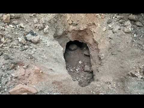 Ancient Treasure Found Underground Hidden Gold Pots