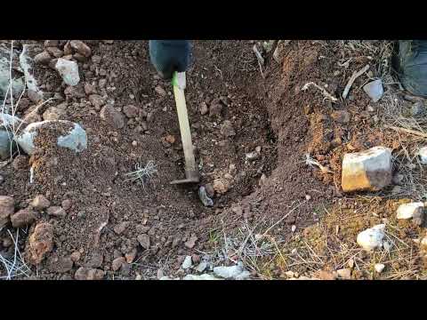 Finding banknotes and gold coins