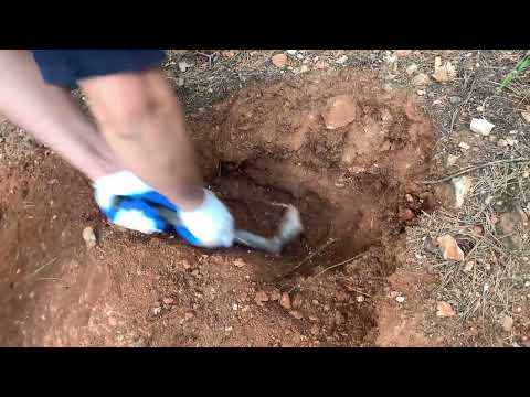 Ancient Hidden Treasure Discovered Underground Lost Secrets