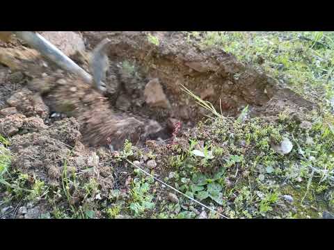 Hidden Treasure Found While Digging