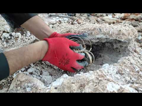 Mystery Treasure Hunt Searching for Lost Relics