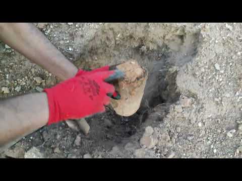 THE HIDDEN TREASURE We Found a Secret Cache of Ancient